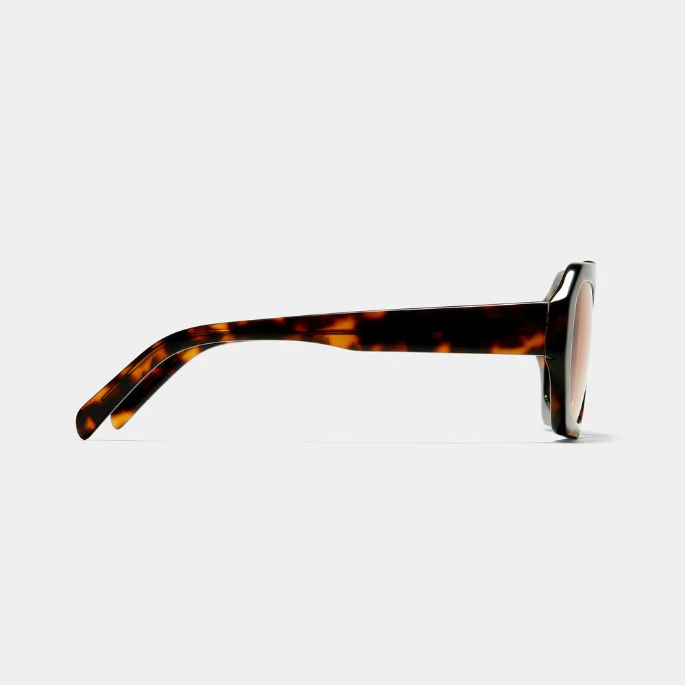 Tinted Sunglasses